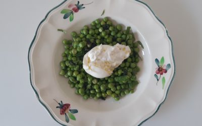 Petit pois frais à la burrata